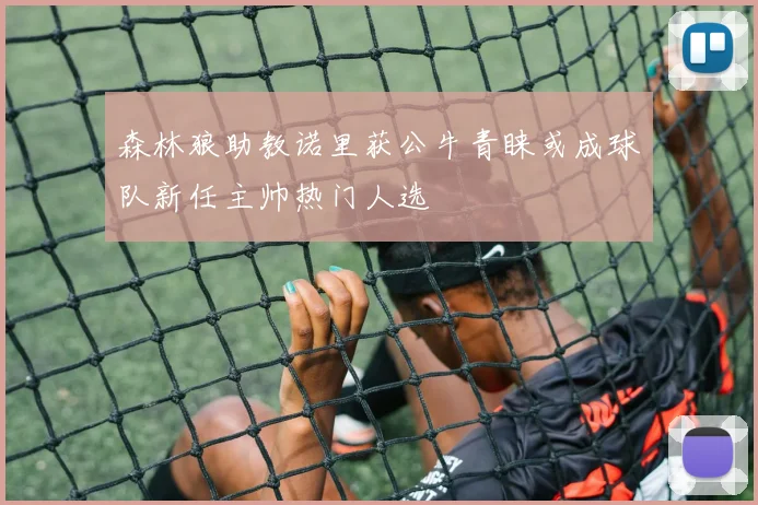 森林狼助教诺里获公牛青睐或成球队新任主帅热门人选