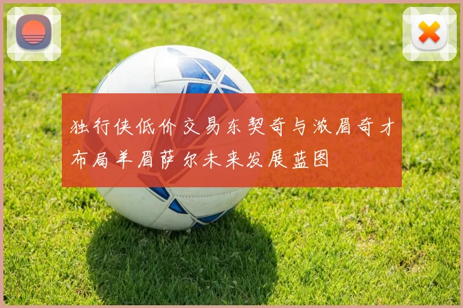 独行侠低价交易东契奇与浓眉奇才布局羊眉萨尔未来发展蓝图